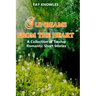 Sunbeams from the Heart: A Collection of Twelve Romantic Short Stories