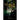 Unveiling Revelation