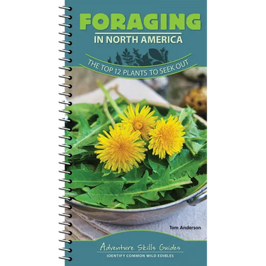 Foraging in North America: The Top 12 Plants to Seek Out