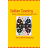 Indian Country: Essays on Contemporary Native Culture