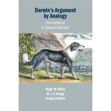 Darwin's Argument by Analogy