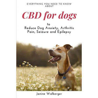 CBD For Dogs: To Reduce Dog Anxiety, Arthritis Pain, Seizure and Epilepsy