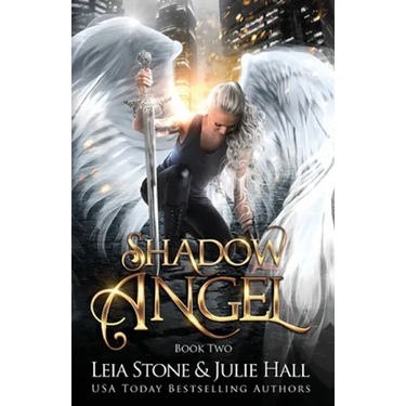 Shadow Angel: Book Two