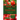 How to Grow Tomatoes: The beginners guide to growing, caring and harvesting tomato from seed