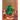The Christmas Spider