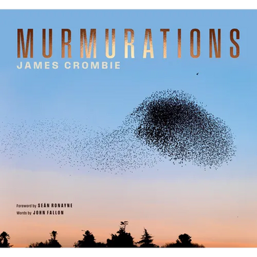 Murmurations