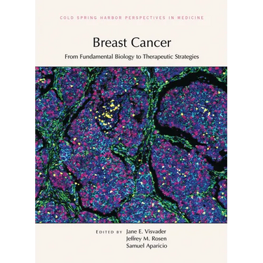 Breast Cancer: From Fundamental Biology to Therapeutic Strategies