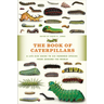 The Book of Caterpillars: A Life-Size Guide to Six Hundred Species from Around the World