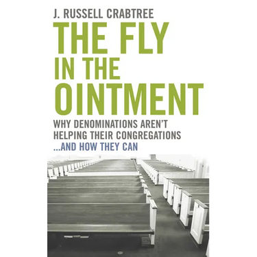 The Fly in the Ointment: Why Denominations Aren't Helping Their Congregations...and How They Can