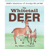 The Whitetail Deer