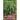 Off The Beaten Path: 4 year Blood Glucose Tracker