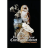 How to Start Your Curiosity Cabinet