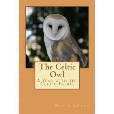 The Celtic Owl: A Year with the Celtic Faerie