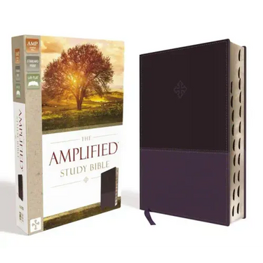 Amplified Study Bible, Imitation Leather, Purple, Indexed