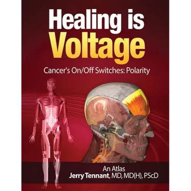 Healing is Voltage: Cancer's On/Off Switches: Polarity