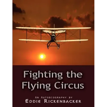 Fighting the Flying Circus