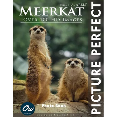 Meerkat: Picture Perfect Photo Book
