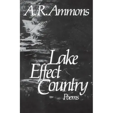 Lake Effect Country: Poems