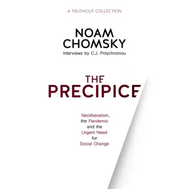 The Precipice: Neoliberalism, the Pandemic and Urgent Need for Social Change