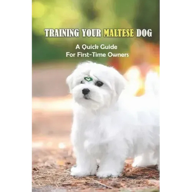 Training Your Maltese Dog: A Quick Guide For First-Time Owners: How To Potty Train A Maltese