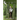 What Lies Beyond