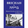 Brichah: (Hebrew for Escape or Flight)