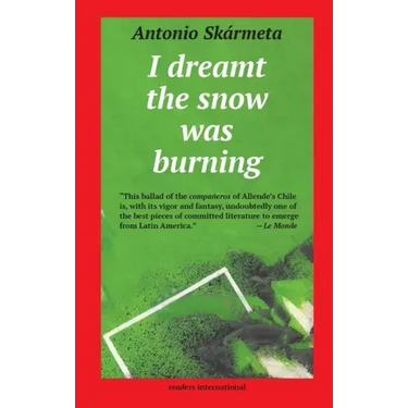 I Dreamt the Snow was Burning