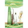 Healing Oils of Ancient Scripture