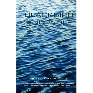 Blackbird and Wolf: Poems