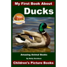My First Book About Ducks - Amazing Animal Books - Children's Picture Books