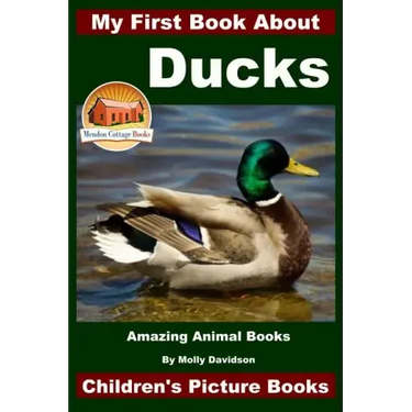 My First Book About Ducks - Amazing Animal Books - Children's Picture Books