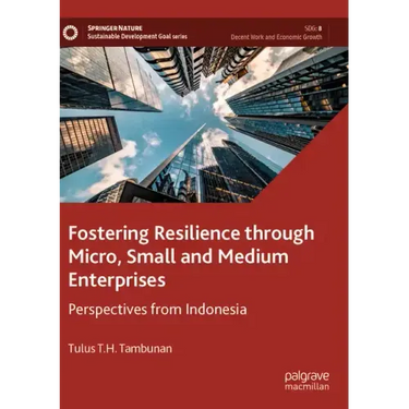 Fostering Resilience Through Micro, Small and Medium Enterprises: Perspectives from Indonesia