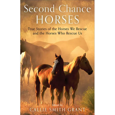 Second-Chance Horses: True Stories of the Horses We Rescue and the Horses Who Rescue Us