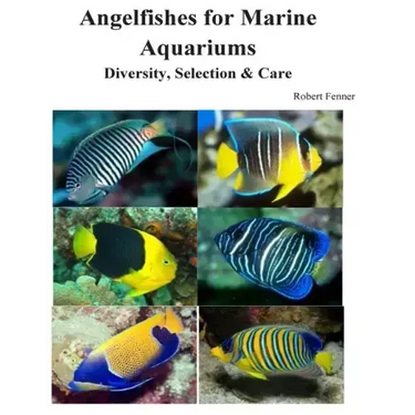 Angelfishes for Marine Aquariums: Diversity, Selection & Care