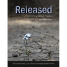 Released: Overcoming Sexual Trauma Workbook