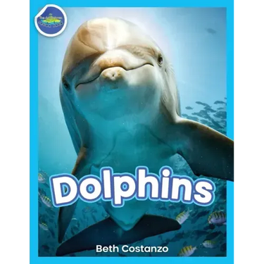 Dolphins!