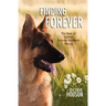 Finding Forever: The Dogs of Coastal German Shepherd Rescue