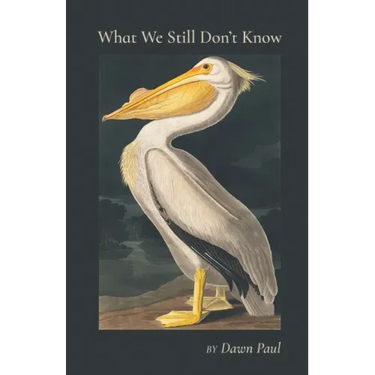 What We Still Don't Know