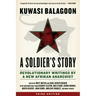 Soldier's Story: Revolutionary Writings by a New Afrikan Anarchist
