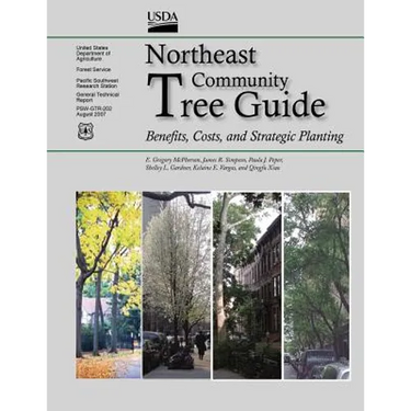 Northeast Community Tree Guide: Benefits, Costs, and Strategic Planting