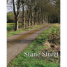 Stane Street: From Chichester to London
