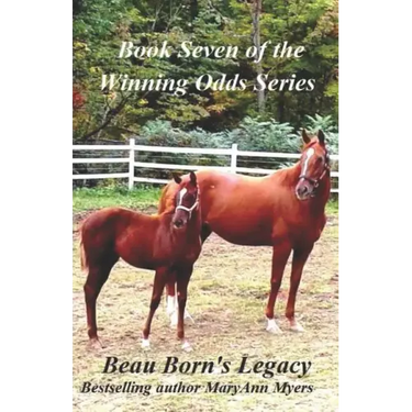 Beau Born's Legacy: Book Seven of the Winning Odds Series