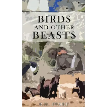 Birds and other Beasts