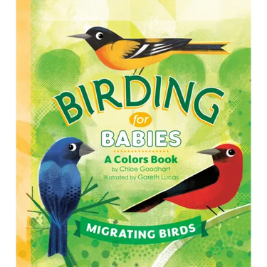 Birding for Babies: Migrating Birds: A Colors Book