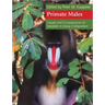 Primate Males