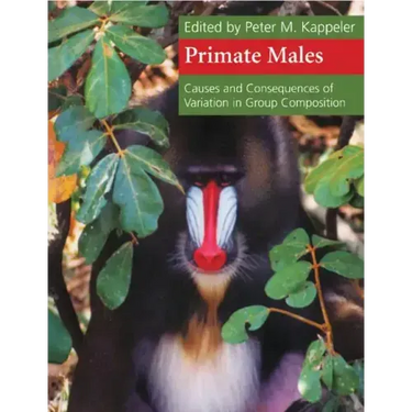 Primate Males