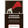 American Blackness: Navigating the Myth of the Black Monolith
