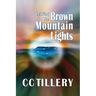Leaving the Brown Mountain Lights