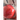 Rushed: All Fun and Games