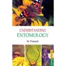 Understanding Entomology